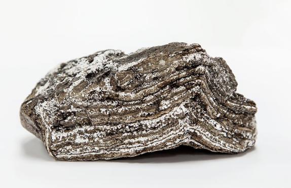 ambergris
